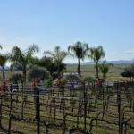 Temecula_0050 ()